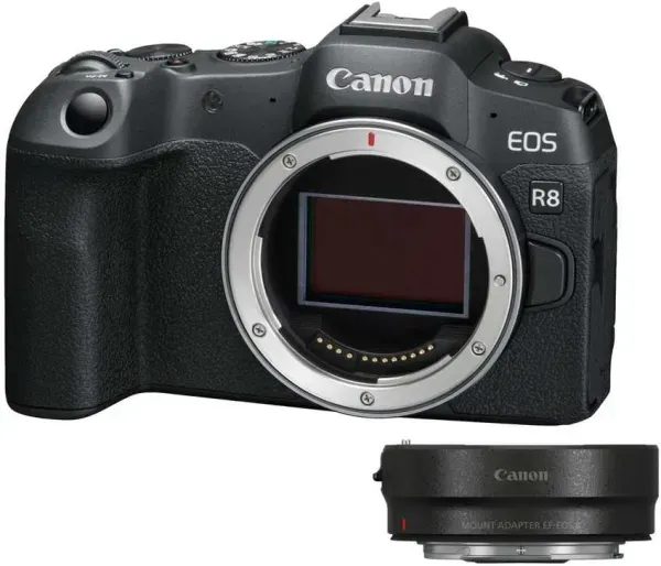 Canon EOS R8 with EF-EOS R mount adapter